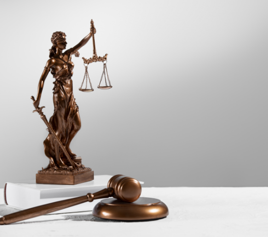 صورة من نحن