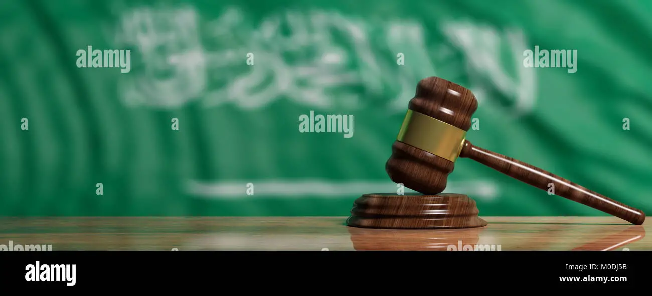 جلسات المحاكمة عن بعد خلال 7 أيام